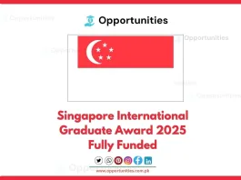 Singapore International Graduate Award 2025