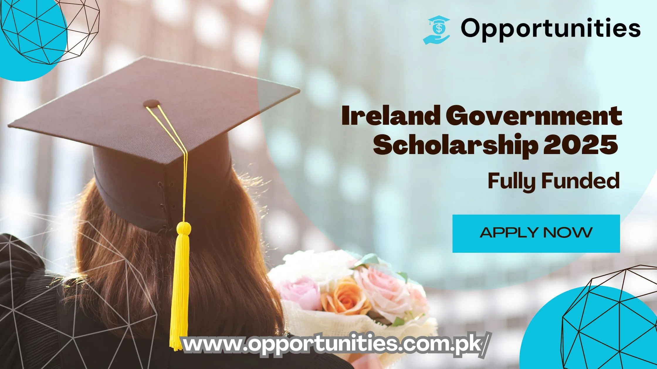 Ireland Government Scholarship